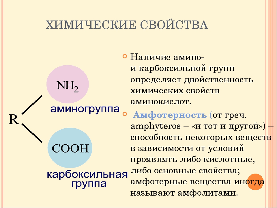 План конспект аминокислоты 10 класс