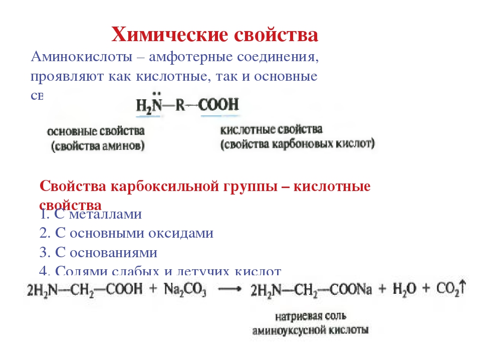 Амины аминокислоты химические свойства