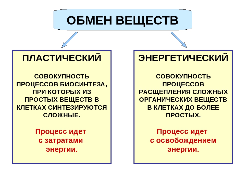 Ключевой процесс который превращает планы в результаты это