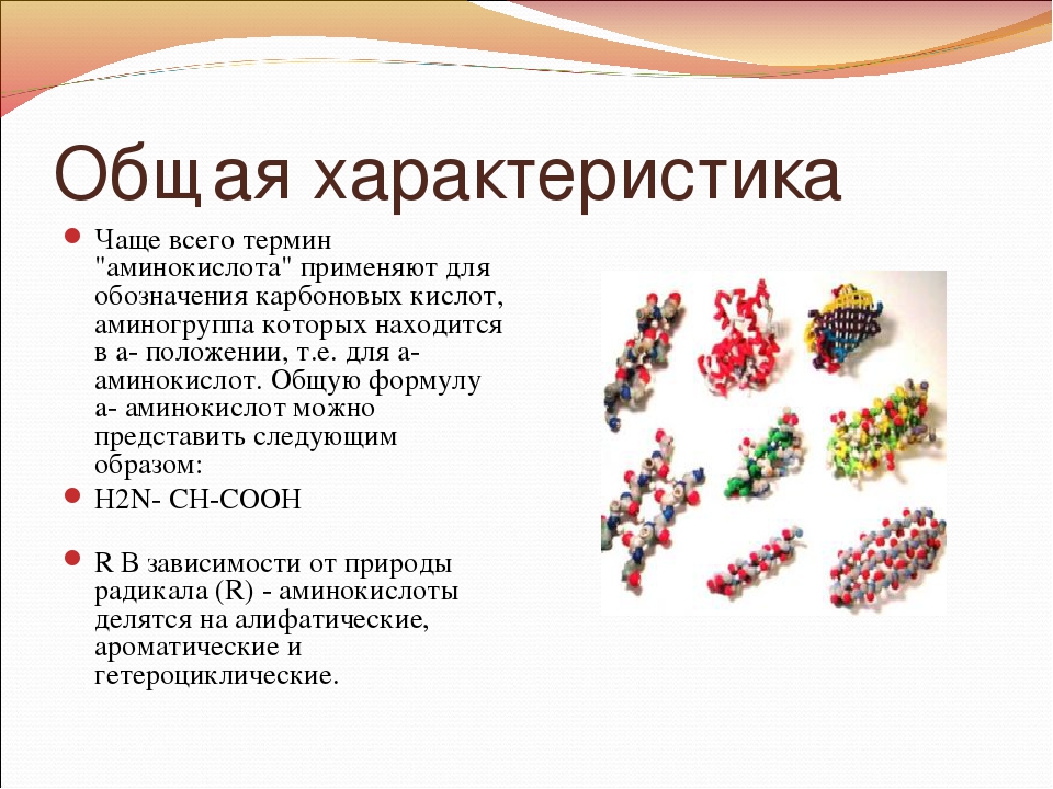 1 мономерами являются аминокислоты. Общая характеристика аминокислот. Аминокислоты основного характера. Характеристика аминокислот. Общие свойства аминокислот.