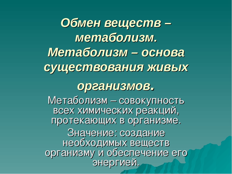 Образу существование. Обмен веществ живых организмов. Метаболизм живых организмов. Основа живого организма. Значение обмена веществ.