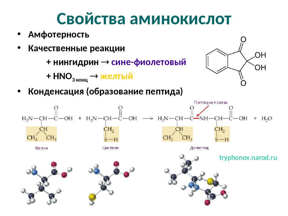 Физические свойства аминокислот презентация