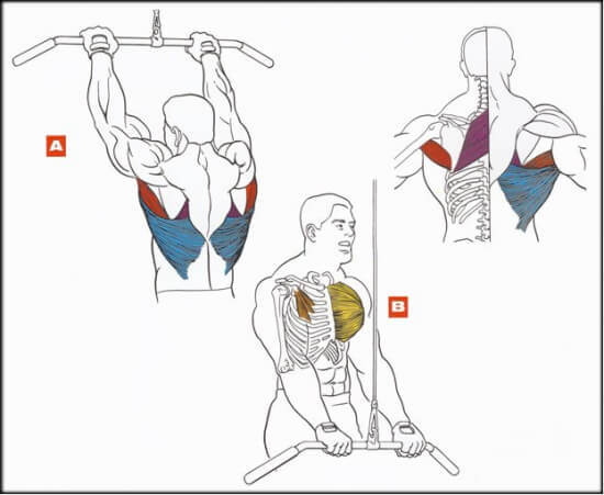 Золотая побдборка упражнений для мышц спины