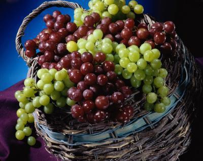 Виноград Изабелла: калорийность
