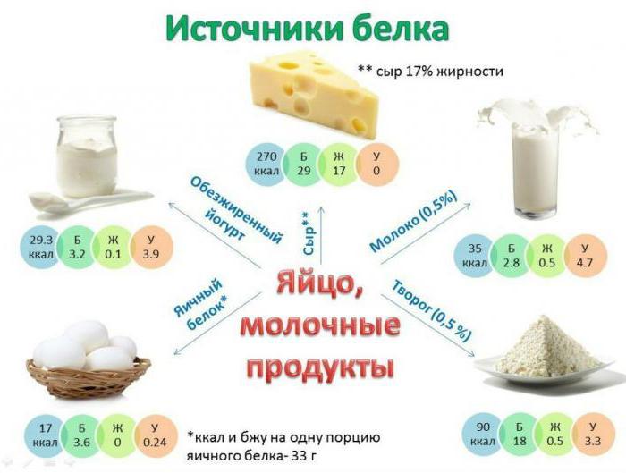 белковая пища список продуктов таблица 