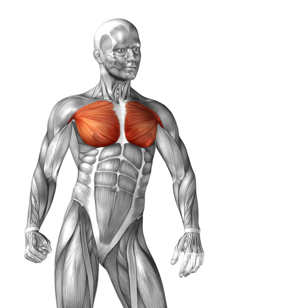 Как накачать низ грудных мышц отжиманиями?