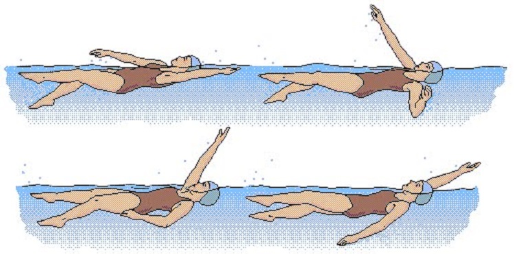 Плавание на спине