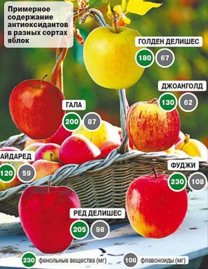 Антиоксиданты в яблоках