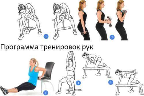 Программа тренировок для девушек в тренажерном зале для похудения. Программа тренировок в тренажерном зале для похудения