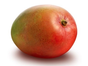 Польза и вред манго для организма, советы по выбору фрукта