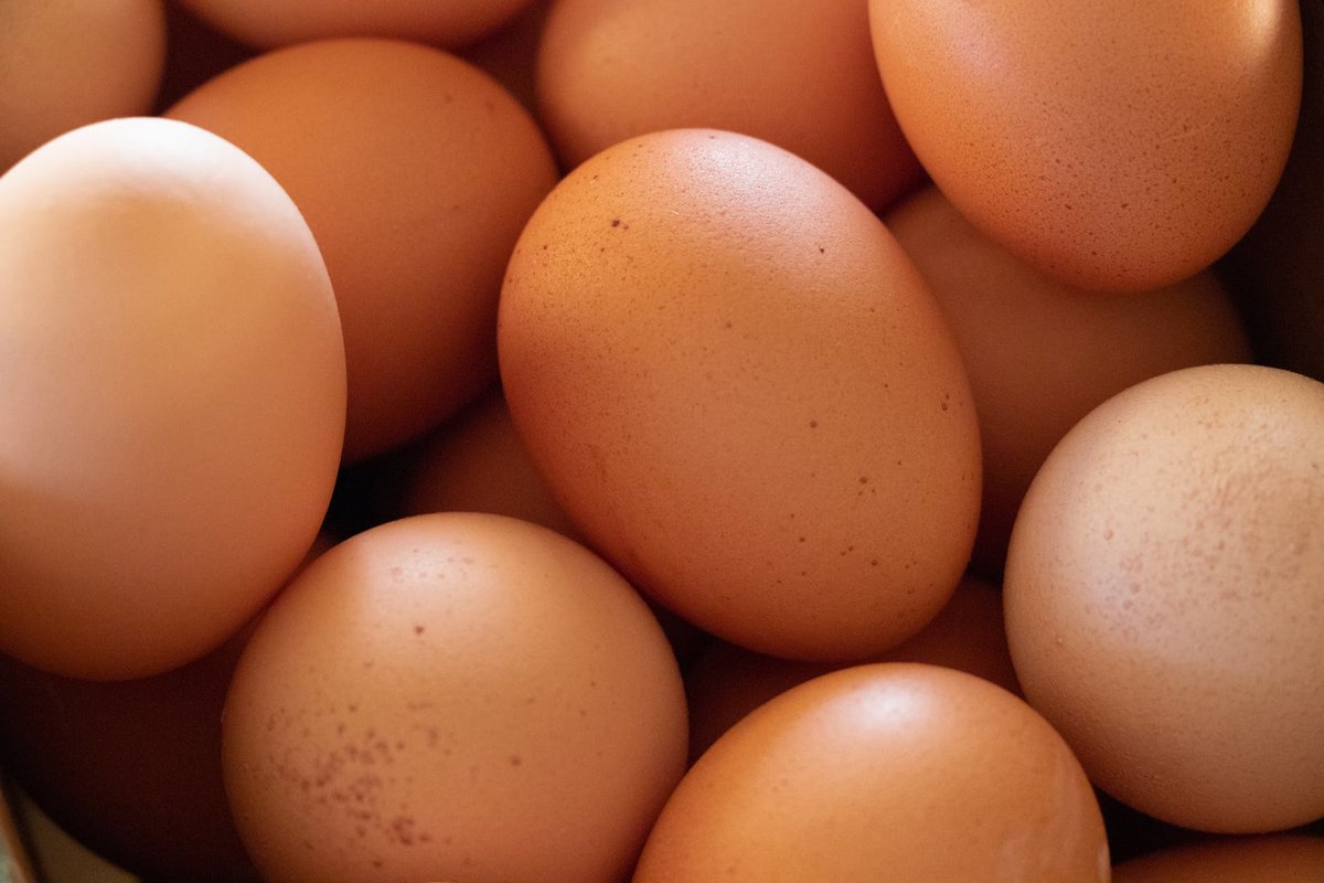 Отличие перепелиных яиц от куриных