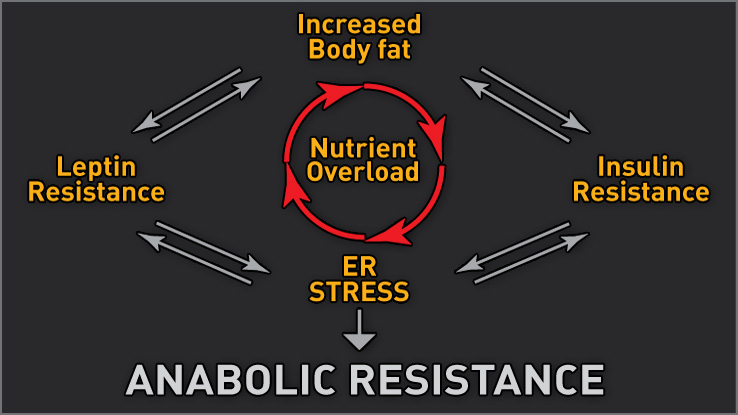 Anabolic-resistance-chart[1]