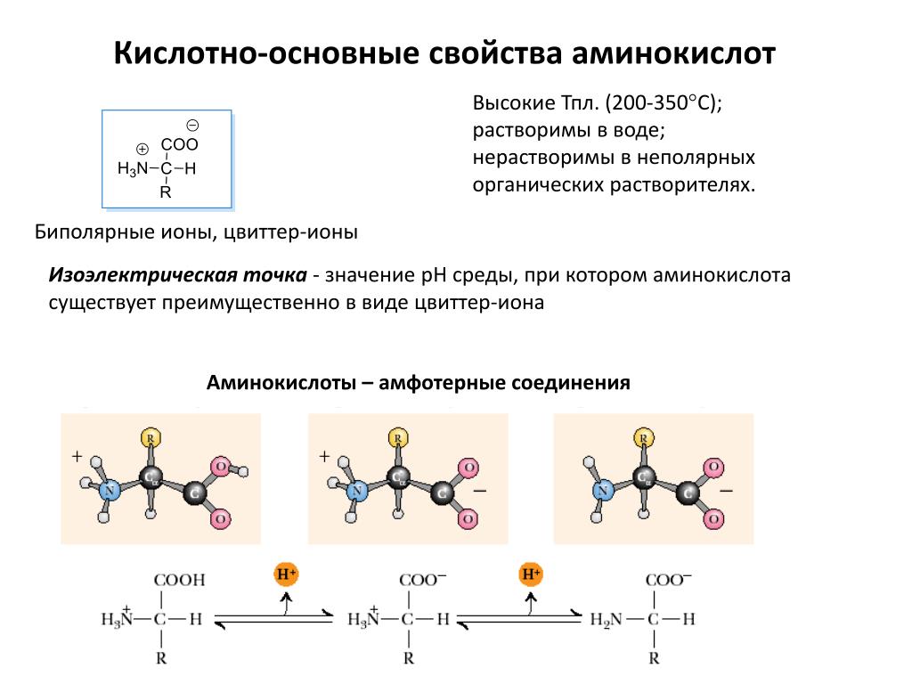 Структура белковых молекул и основные связи в них между аминокислотами примеры в виде схем формул