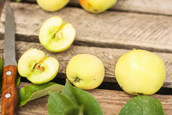 Яблоки полезно есть с кожурой, поскольку именно в ней находится больше пищевых волокон