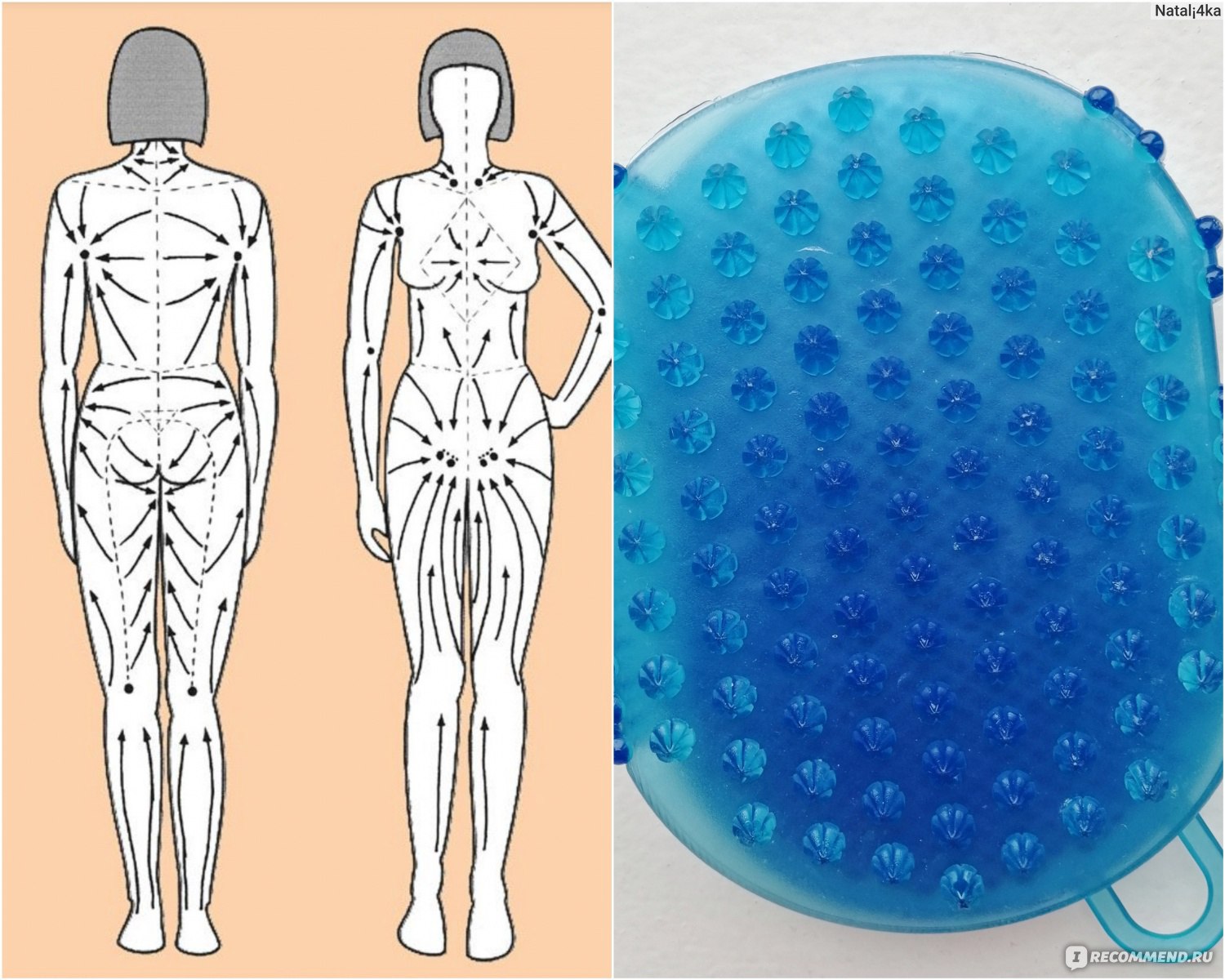 Массаж щеткой от целлюлита схема