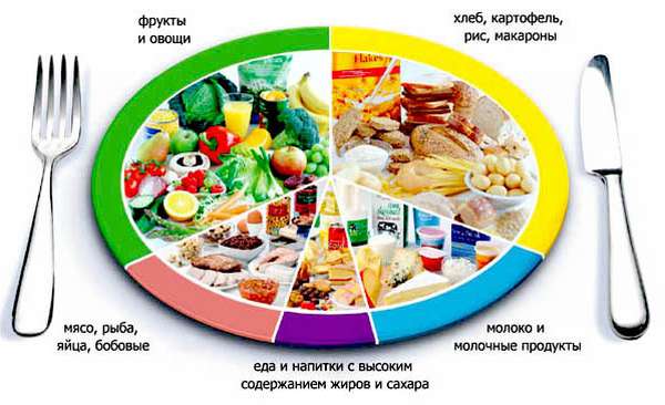 Таблица белков, жиров и углеводов в продуктах
