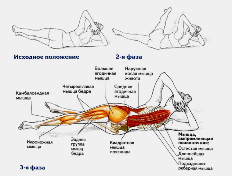 Техника выполнения упражнения