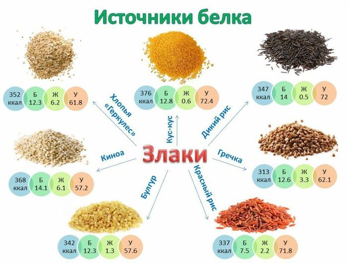 растительные источники белка