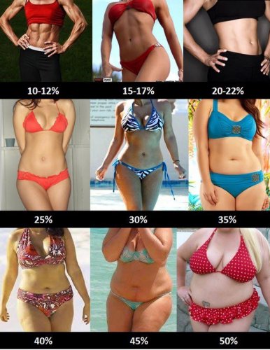 жир тела женщин процент