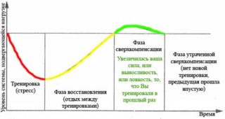 Эффективные упражнения для увеличения грудных мышц для мужчин