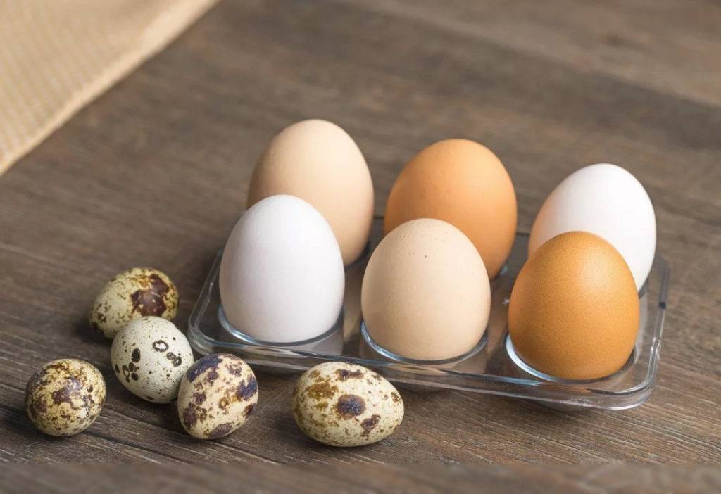 Отличие перепелиных яиц от куриных.