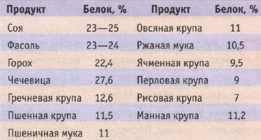 В какой каше больше всего белка. Содержание белков в крупах. Крупы содержащие белок. Крупы с высоким содержанием белка. Содержание белка в крупах.