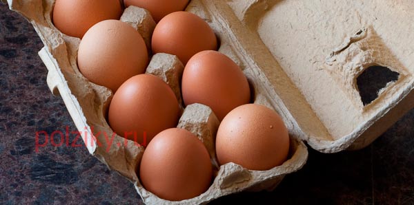 Отличия куриных и перепелиных яиц