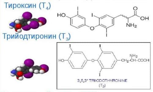 Трийодтиронин образуется при распаде другого гормона — тироксина, когда один атом отделяется от него