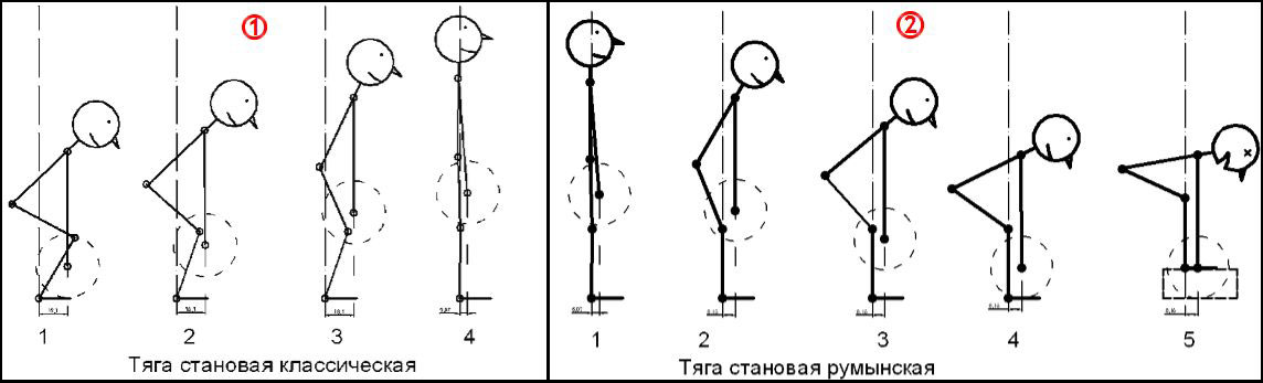 Классическая становая и румынская