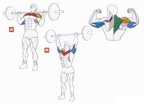 Техника выполнения упражнения для плеч: жим штанги стоя с груди