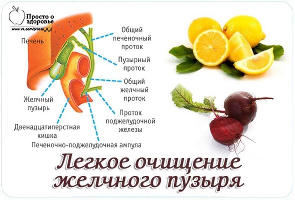 Очистка печени и желчевыводящих путей у женщин препараты схема