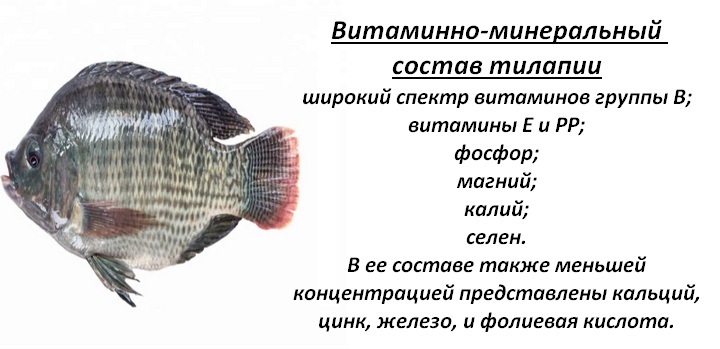 Витаминный состав рыбы