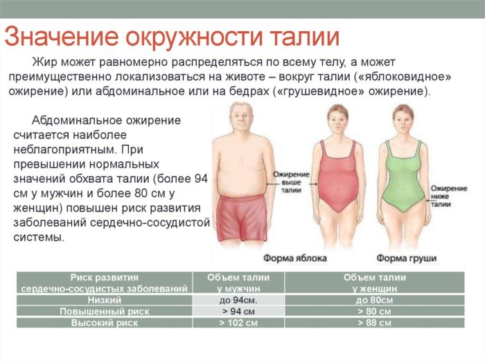 Абдоминальное ожирение у женщин и мужчин 3