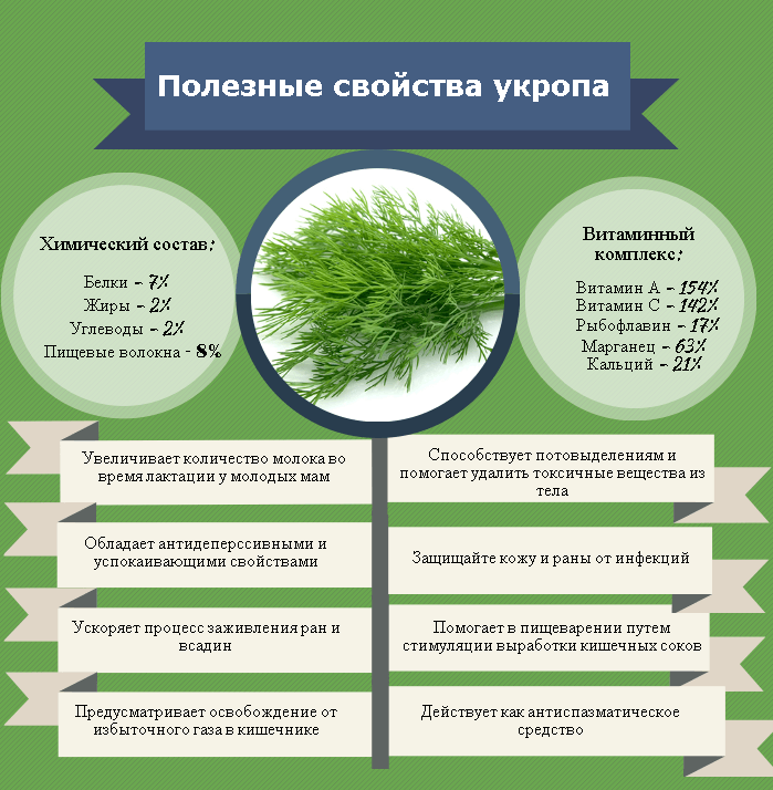 Полезные свойства укропа