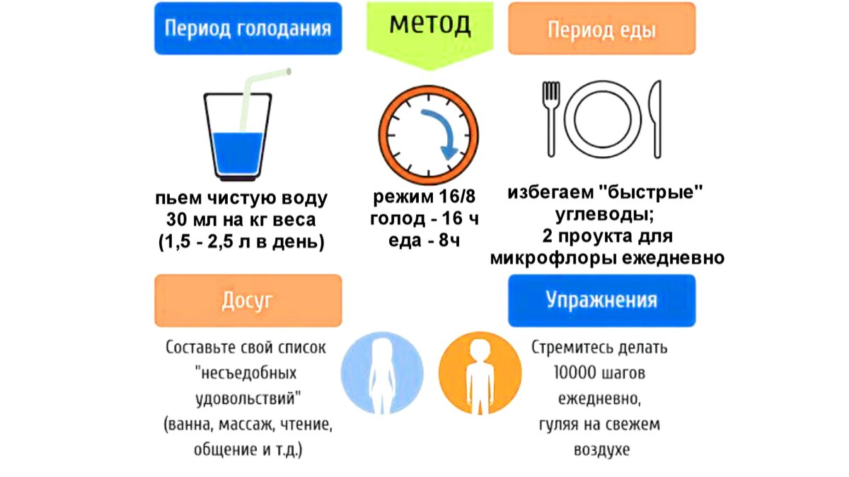 Что такое интервальное голодание схема и как правильно делать в домашних условиях для начинающих