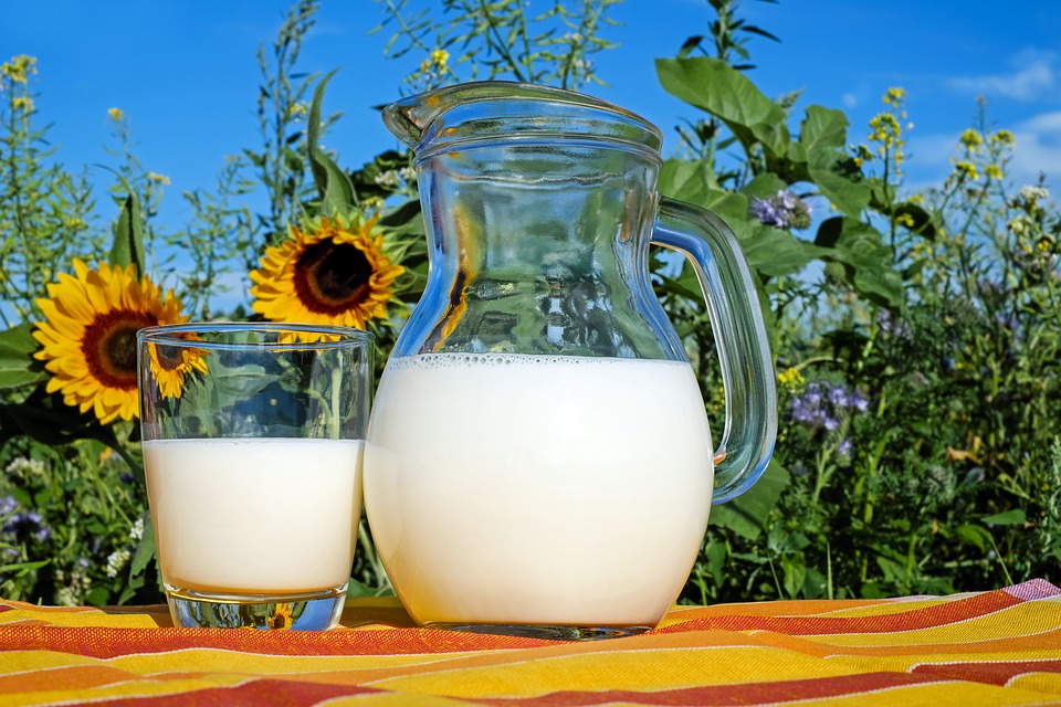 Источниками полезного протеина являются молочные продукты.