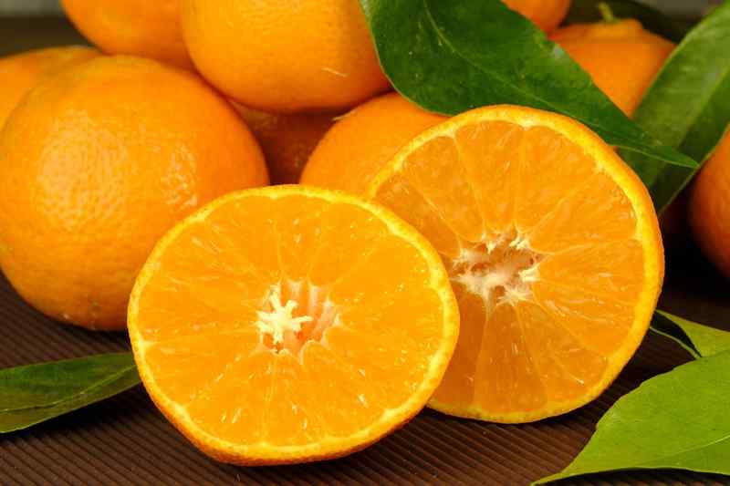 Как правильно выйти из апельсиновой диеты? фото
