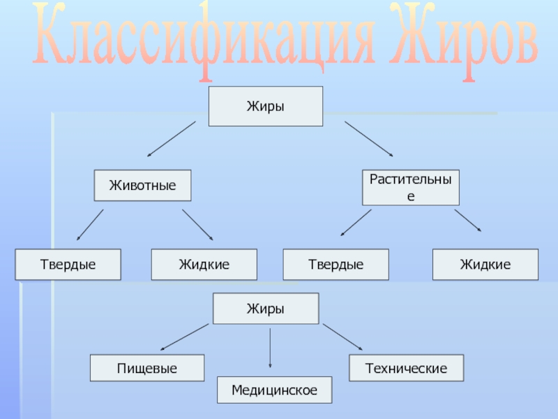 Чем отличаются твердые жиры от жидких изобразите. Классификация жиров. Схема классификации жиров химия. Классификация твердых жиров. Классификация жиров по происхождению химия.