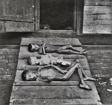 Почтовая марка «помощь голодающим Поволжья» в 1923 г. Во время голода в Поволжье многие умерли не только от голода, но и от болезней, вызванных недоеданием