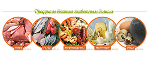 Продукты, богатые животным белком