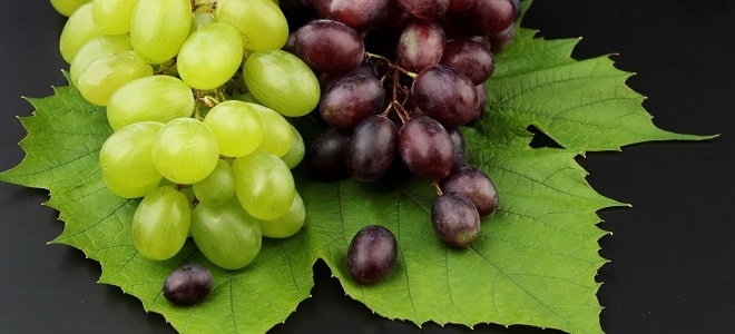 виноград перед сном