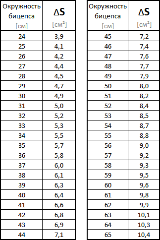 Нормы обхвата. Окружность бицепса. Размер бицепса нормативы. Средняя окружность бицепса. Какой должен быть обхват бицепса.