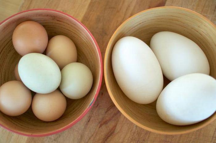 гусиное вареное яйцо польза и вред