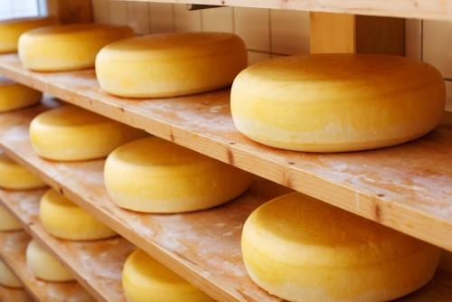 Какой сыр самый полезный и диетический. 7 самых полезных видов сыра