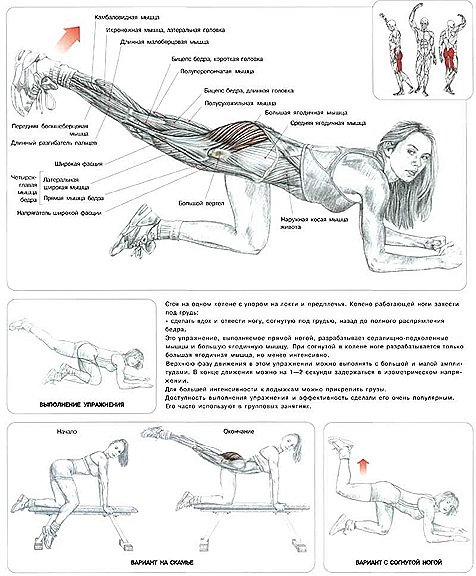 Упражнения для ягодиц и бедер в домашних условиях