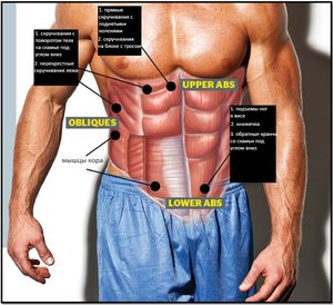 Проработка мышц пресса