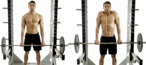 Упражнения на трапецию в тренажерном зале для мужчин. Упражнения для трапециевидных мышц спины
