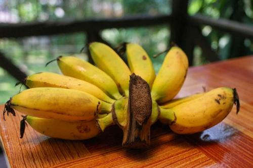  Сколько бананов можно есть в день чтобы не поправиться