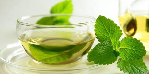 Зеленый чай для похудения форум. Зеленый чай для похудения