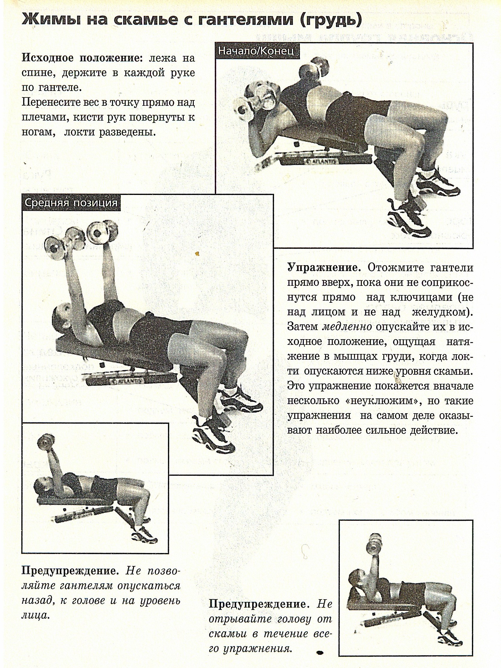 упражнения грудь гантелями женщин фото 106